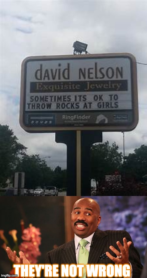 it's a jewelry store | THEY'RE NOT WRONG | image tagged in memes,steve harvey | made w/ Imgflip meme maker