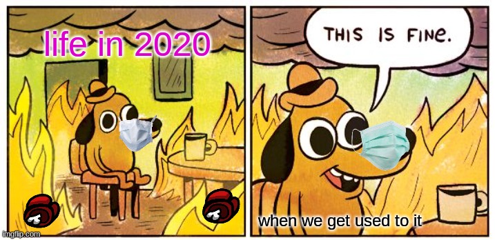 This Is Fine | life in 2020; when we get used to it | image tagged in memes,this is fine | made w/ Imgflip meme maker