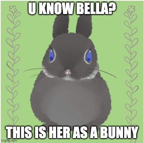 U KNOW BELLA? THIS IS HER AS A BUNNY | made w/ Imgflip meme maker