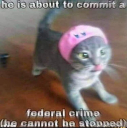 He is about to commit a federal crime (he cannot be stopped) | image tagged in he is about to commit a federal crime he cannot be stopped | made w/ Imgflip meme maker