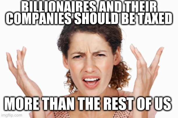 Indignant | BILLIONAIRES AND THEIR COMPANIES SHOULD BE TAXED; MORE THAN THE REST OF US | image tagged in indignant | made w/ Imgflip meme maker