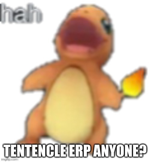 I honestly, I havent done one in like 8 months | TENTENCLE ERP ANYONE? | image tagged in charmander hah | made w/ Imgflip meme maker