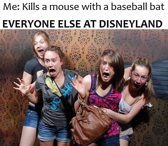 EVERYONE ELSE AT DISNEYLAND; Me: Kills a mouse with a baseball bat | image tagged in disney | made w/ Imgflip meme maker