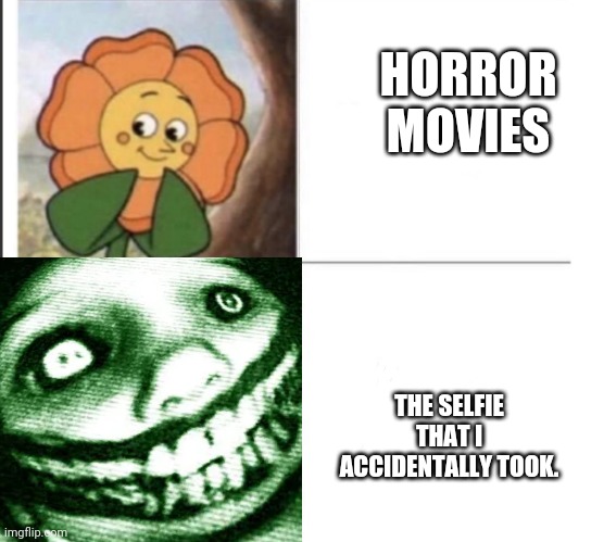 All my selfies belong in the bottom category | HORROR MOVIES; THE SELFIE THAT I ACCIDENTALLY TOOK. | image tagged in cup head flower drake meme | made w/ Imgflip meme maker
