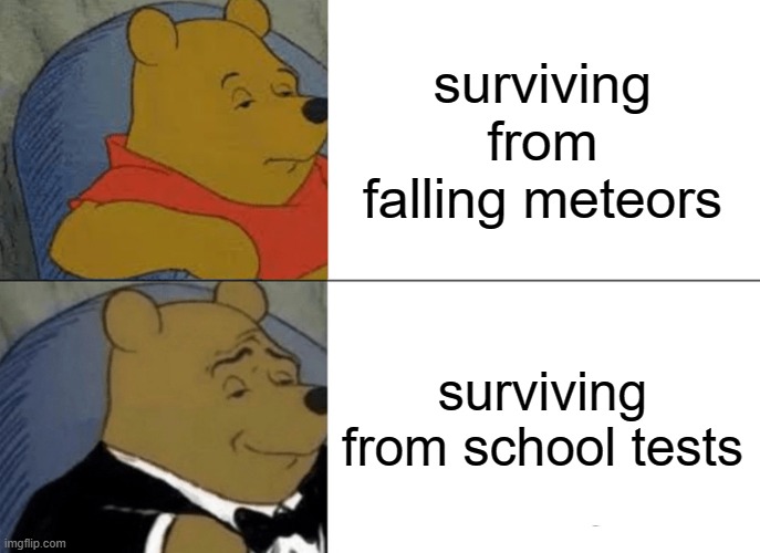 Tuxedo Winnie The Pooh | surviving from falling meteors; surviving from school tests | image tagged in memes,tuxedo winnie the pooh,never gonna give you up,never gonna let you down,never gonna run around,and desert you | made w/ Imgflip meme maker