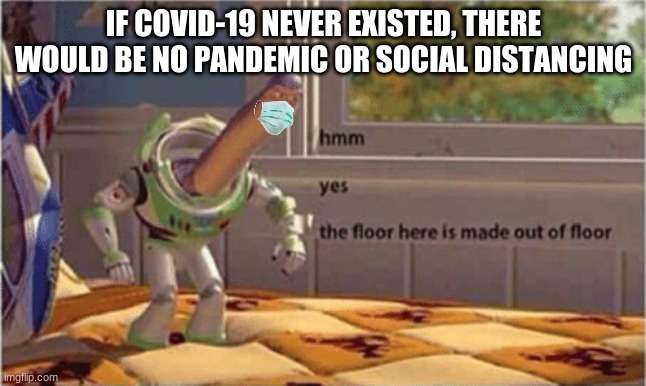 hmm yes the floor here is made out of floor | IF COVID-19 NEVER EXISTED, THERE WOULD BE NO PANDEMIC OR SOCIAL DISTANCING | image tagged in hmm yes the floor here is made out of floor | made w/ Imgflip meme maker
