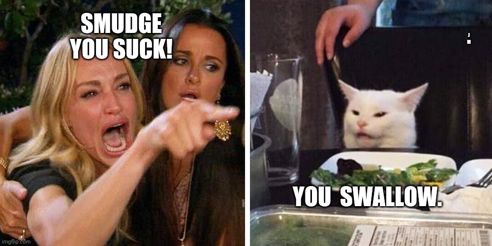 Smudge the cat | J M; SMUDGE YOU SUCK! YOU  SWALLOW. | image tagged in smudge the cat | made w/ Imgflip meme maker