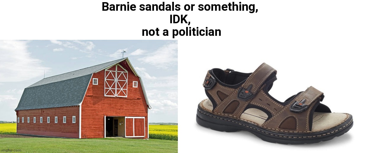 Barnie sandals | Barnie sandals or something, 
IDK, 
not a politician | image tagged in memes | made w/ Imgflip meme maker