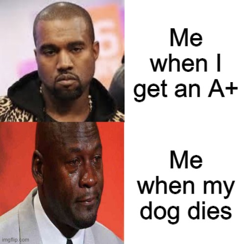 Serious to crying Drake template | Me when I get an A+; Me when my dog dies | image tagged in serious to crying drake template,dog,a | made w/ Imgflip meme maker