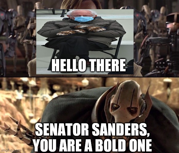 Hello There!  | HELLO THERE; SENATOR SANDERS, YOU ARE A BOLD ONE | image tagged in hello there | made w/ Imgflip meme maker