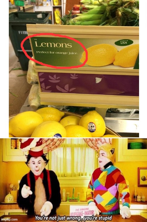 Lemons... Perfect for Orange juice... | image tagged in lemons,you're not just wrong your stupid,you had one job | made w/ Imgflip meme maker