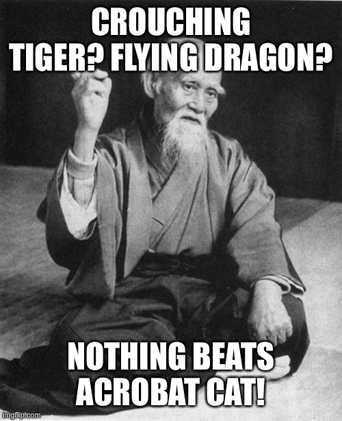 Confucius say | CROUCHING TIGER? FLYING DRAGON? NOTHING BEATS ACROBAT CAT! | image tagged in confucius say | made w/ Imgflip meme maker