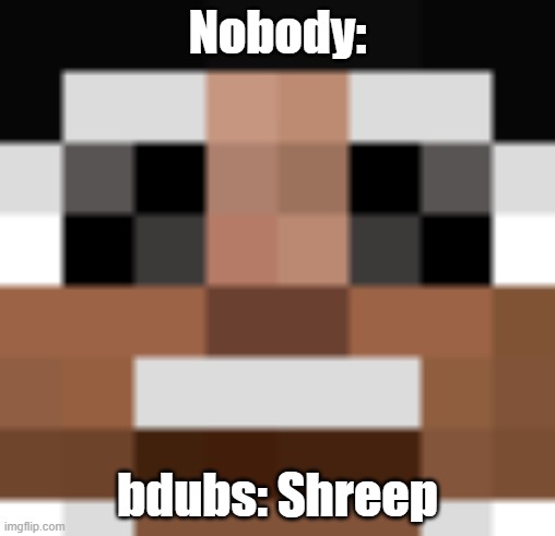 Shreep | Nobody:; bdubs: Shreep | image tagged in bdubs,hermitcraft | made w/ Imgflip meme maker