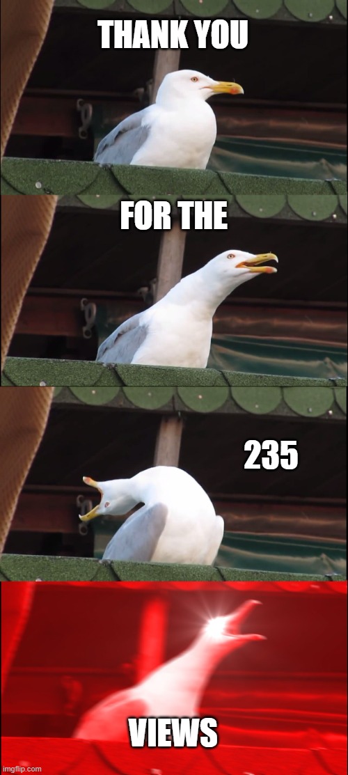 Inhaling Seagull | THANK YOU; FOR THE; 235; VIEWS | image tagged in memes,inhaling seagull | made w/ Imgflip meme maker
