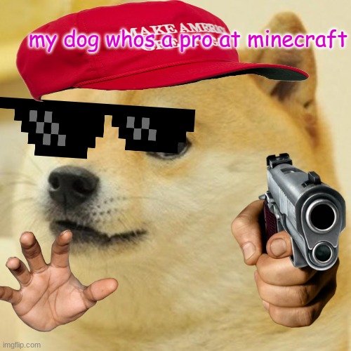 my dogs a pro boizzz | my dog whos a pro at minecraft | image tagged in memes,doge | made w/ Imgflip meme maker