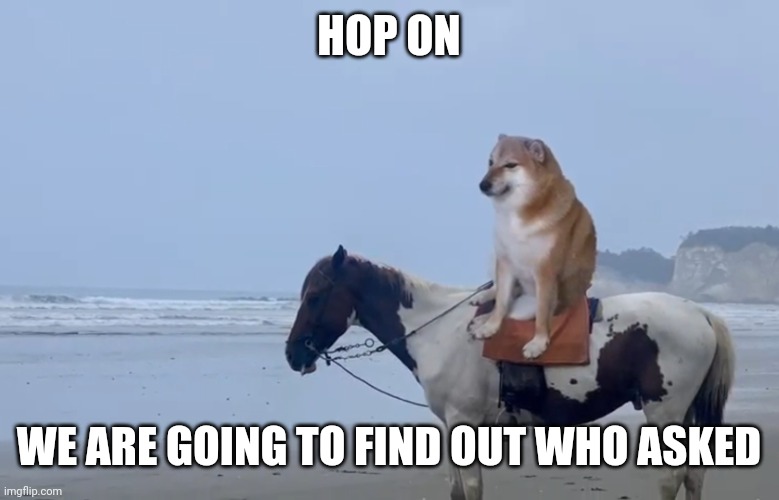 MAN | HOP ON; WE ARE GOING TO FIND OUT WHO ASKED | image tagged in man | made w/ Imgflip meme maker