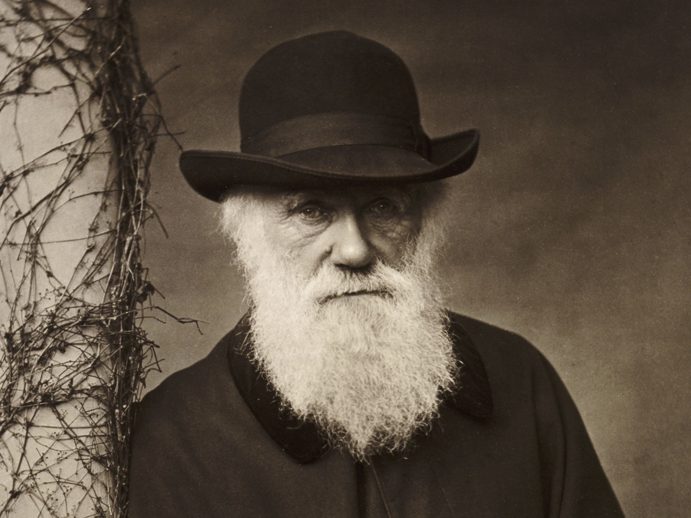 Charles Darwin Blank Meme Template