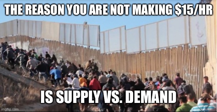 Supply vs.Demand | THE REASON YOU ARE NOT MAKING $15/HR; IS SUPPLY VS. DEMAND | image tagged in illegal immigrants,supply vs demand,living wage,all wages down | made w/ Imgflip meme maker