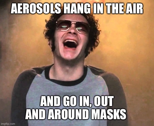 That 70s show Hyde | AEROSOLS HANG IN THE AIR AND GO IN, OUT AND AROUND MASKS | image tagged in that 70s show hyde | made w/ Imgflip meme maker
