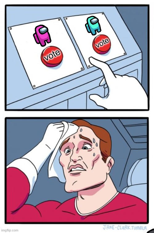 Two Buttons | vote; vote | image tagged in memes,two buttons | made w/ Imgflip meme maker