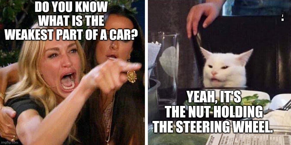 Smudge the cat | DO YOU KNOW WHAT IS THE WEAKEST PART OF A CAR? J M; YEAH, IT'S THE NUT HOLDING THE STEERING WHEEL. | image tagged in smudge the cat | made w/ Imgflip meme maker