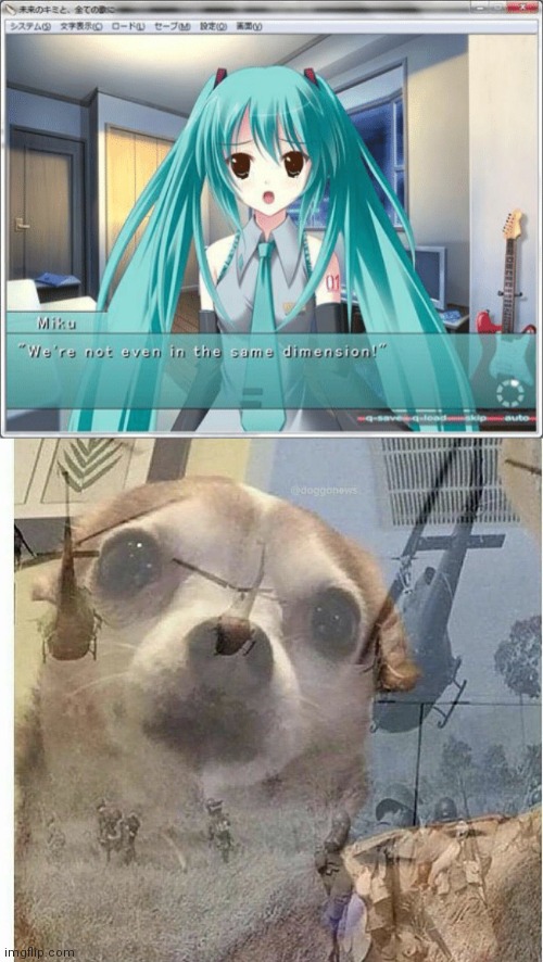 your waifu doesn't exist | image tagged in ptsd chihuahua | made w/ Imgflip meme maker