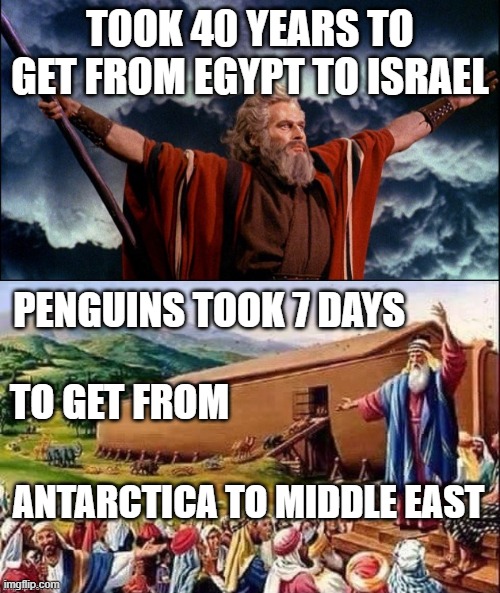 bible is in the fiction section | TOOK 40 YEARS TO GET FROM EGYPT TO ISRAEL; PENGUINS TOOK 7 DAYS; TO GET FROM; ANTARCTICA TO MIDDLE EAST | image tagged in noah's ark,angry old moses | made w/ Imgflip meme maker