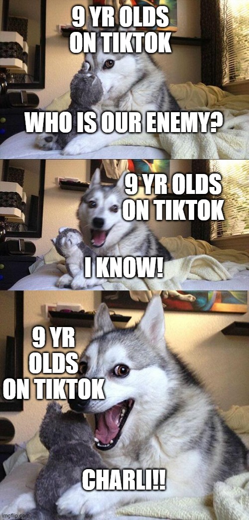 Cuz they meed an enemy lol | 9 YR OLDS ON TIKTOK; WHO IS OUR ENEMY? 9 YR OLDS ON TIKTOK; I KNOW! 9 YR OLDS ON TIKTOK; CHARLI!! | image tagged in memes,bad pun dog | made w/ Imgflip meme maker