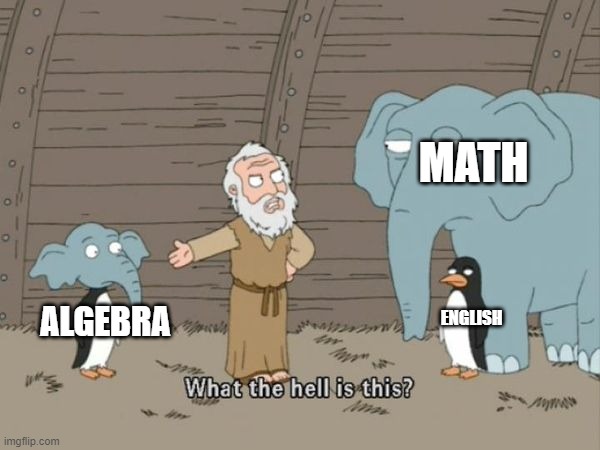 What the hell is this? | MATH; ENGLISH; ALGEBRA | image tagged in what the hell is this | made w/ Imgflip meme maker