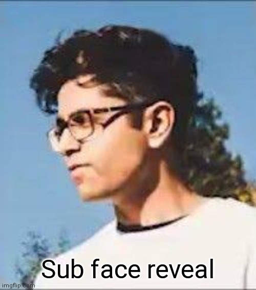 Who knows that Sub's face looks like this? ( subzeroextrabyte) | Sub face reveal | made w/ Imgflip meme maker