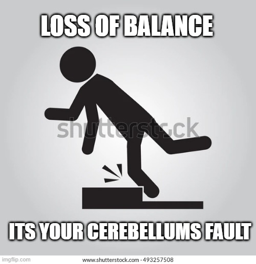 cerebellum | LOSS OF BALANCE; ITS YOUR CEREBELLUMS FAULT | image tagged in cerebellum,falling | made w/ Imgflip meme maker