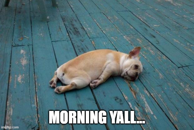 my eyes hurt | MORNING YALL... | image tagged in tired dog | made w/ Imgflip meme maker