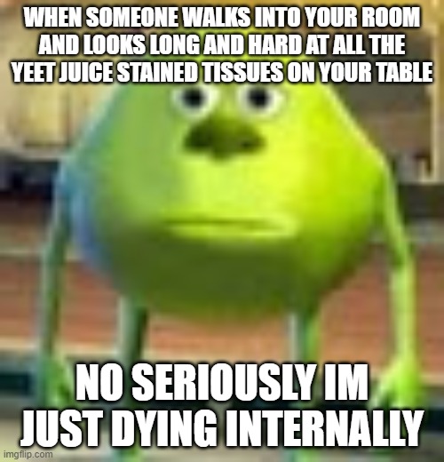 Sully Wazowski | WHEN SOMEONE WALKS INTO YOUR ROOM AND LOOKS LONG AND HARD AT ALL THE YEET JUICE STAINED TISSUES ON YOUR TABLE; NO SERIOUSLY IM JUST DYING INTERNALLY | image tagged in sully wazowski | made w/ Imgflip meme maker