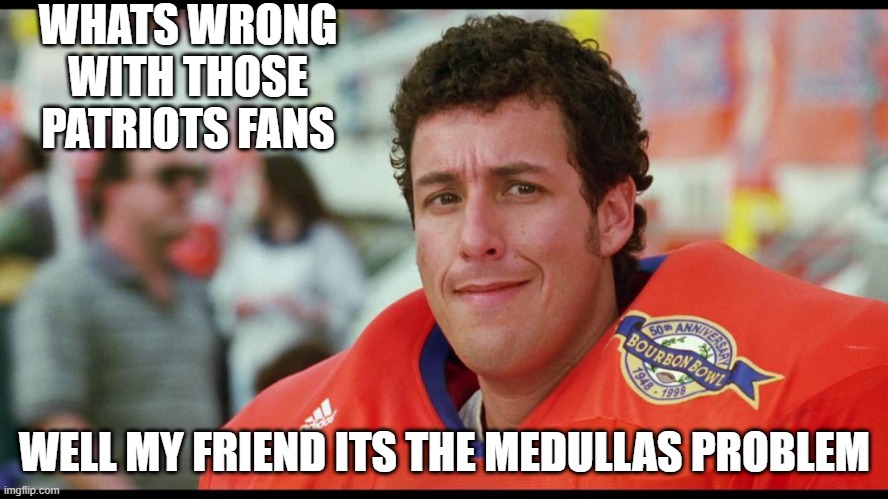 sandler | WHATS WRONG WITH THOSE PATRIOTS FANS; WELL MY FRIEND ITS THE MEDULLAS PROBLEM | image tagged in medulla,adam | made w/ Imgflip meme maker