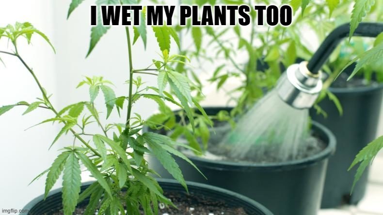 I WET MY PLANTS TOO | made w/ Imgflip meme maker
