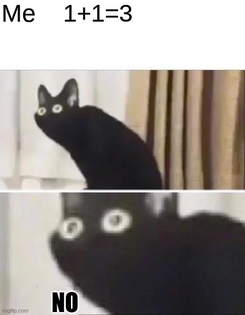 Oh No Black Cat | Me    1+1=3; NO | image tagged in oh no black cat | made w/ Imgflip meme maker