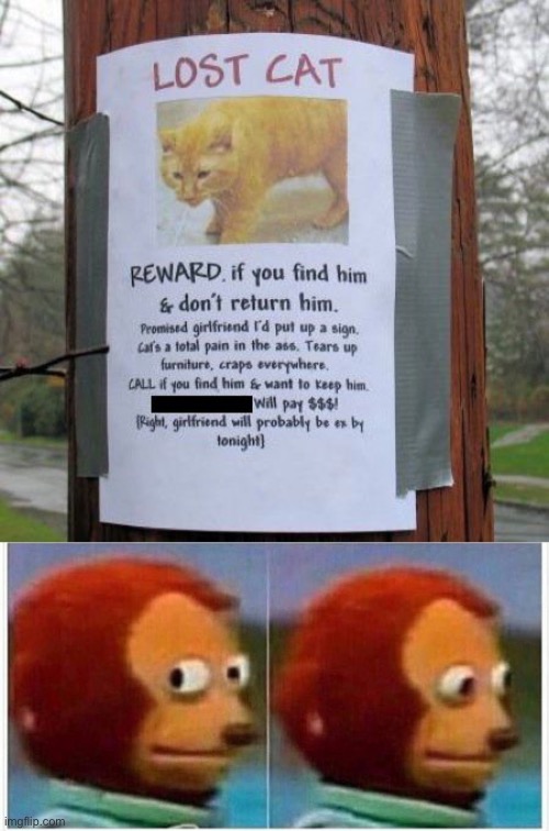 Lets all hope whoever finds it holds up their end of the deal | image tagged in memes,monkey puppet,funny signs,funny,cats,lol | made w/ Imgflip meme maker