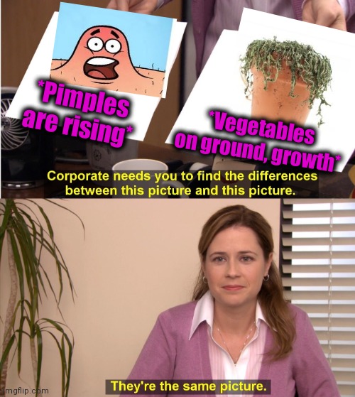 -Greeny gold. | *Pimples are rising*; *Vegetables on ground, growth* | image tagged in memes,they're the same picture,give me the plant,pimples zero,skin,first world problems | made w/ Imgflip meme maker