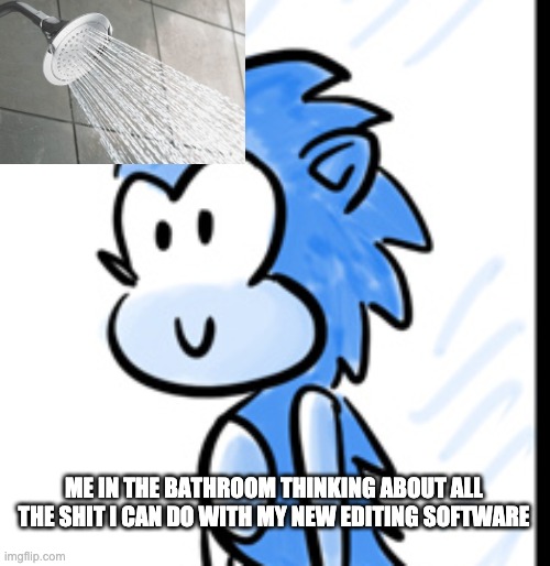 I can already think of so many stupid things I can make | ME IN THE BATHROOM THINKING ABOUT ALL THE SHIT I CAN DO WITH MY NEW EDITING SOFTWARE | image tagged in happy sonic | made w/ Imgflip meme maker