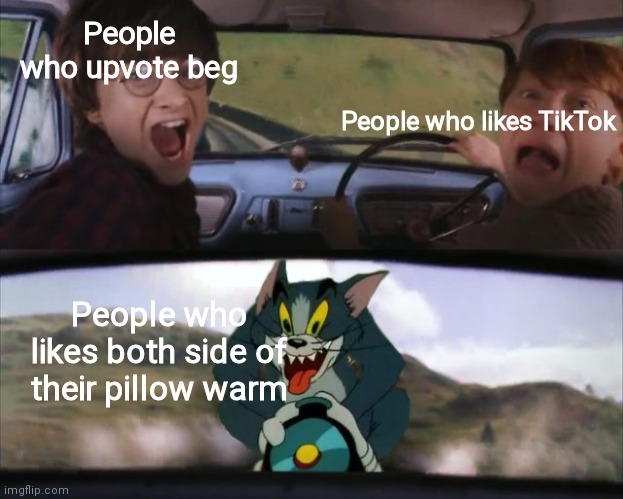 Do not | People who upvote beg; People who likes TikTok; People who likes both side of their pillow warm | image tagged in tom chasing harry and ron weasly | made w/ Imgflip meme maker