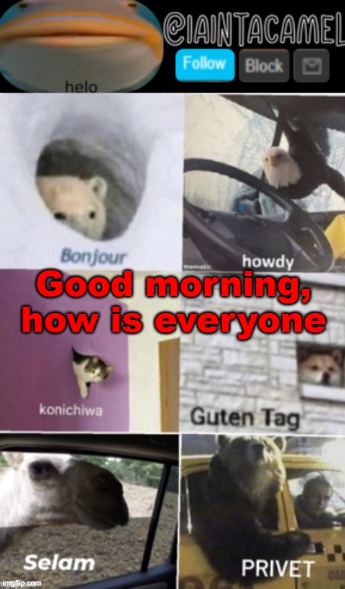 iaintacamel | Good morning, how is everyone | image tagged in iaintacamel | made w/ Imgflip meme maker