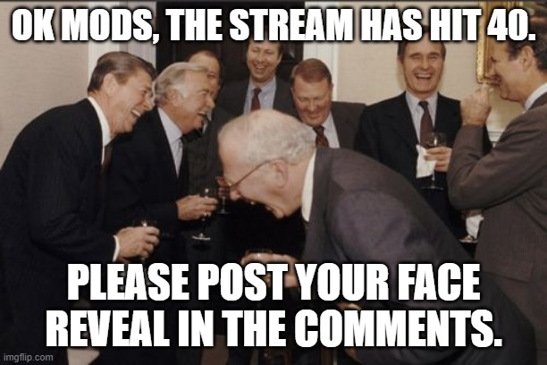 yay. | OK MODS, THE STREAM HAS HIT 40. PLEASE POST YOUR FACE REVEAL IN THE COMMENTS. | image tagged in memes,laughing men in suits | made w/ Imgflip meme maker