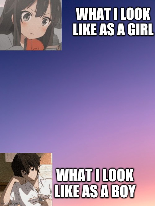 Yeh | WHAT I LOOK LIKE AS A GIRL; WHAT I LOOK LIKE AS A BOY | image tagged in lmao,stop,reading,the,tags | made w/ Imgflip meme maker