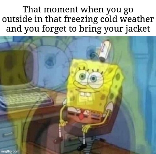 When you forget to bring your jacket |  That moment when you go outside in that freezing cold weather and you forget to bring your jacket | image tagged in internal screaming,funny,memes,jacket,freezing cold,blank white template | made w/ Imgflip meme maker