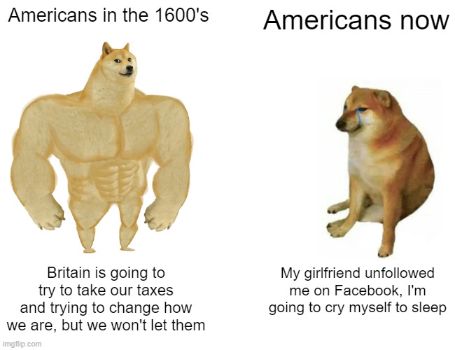 its true tho | Americans in the 1600's; Americans now; Britain is going to try to take our taxes and trying to change how we are, but we won't let them; My girlfriend unfollowed me on Facebook, I'm going to cry myself to sleep | image tagged in memes,buff doge vs cheems | made w/ Imgflip meme maker