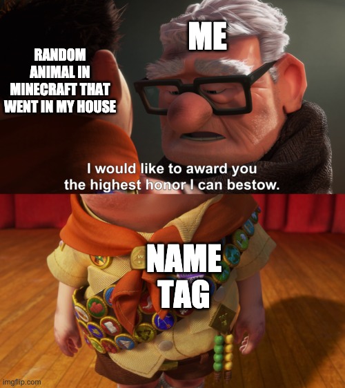 I would like to award you the highest honor I can bestow | ME; RANDOM ANIMAL IN MINECRAFT THAT WENT IN MY HOUSE; NAME TAG | image tagged in i would like to award you the highest honor i can bestow | made w/ Imgflip meme maker