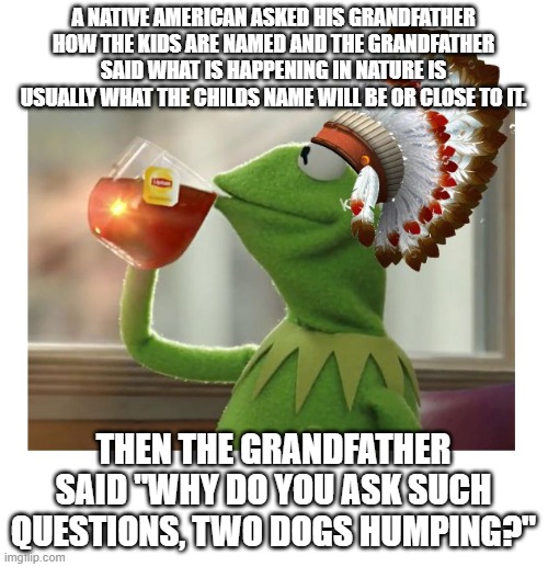 Native American Kermit | A NATIVE AMERICAN ASKED HIS GRANDFATHER HOW THE KIDS ARE NAMED AND THE GRANDFATHER SAID WHAT IS HAPPENING IN NATURE IS USUALLY WHAT THE CHIL | image tagged in native american kermit | made w/ Imgflip meme maker