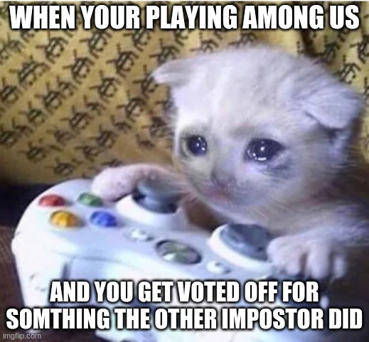 Sad gaming cat | WHEN YOUR PLAYING AMONG US; AND YOU GET VOTED OFF FOR SOMTHING THE OTHER IMPOSTOR DID | image tagged in sad gaming cat | made w/ Imgflip meme maker