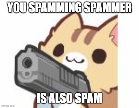 When someone spams "you're a spammer stop spamming" | YOU SPAMMING SPAMMER; IS ALSO SPAM | image tagged in gun kitty | made w/ Imgflip meme maker
