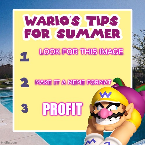 warios tips for summer | LOOK FOR THIS IMAGE; MAKE IT A MEME FORMAT; PROFIT | image tagged in warios tips for summer | made w/ Imgflip meme maker